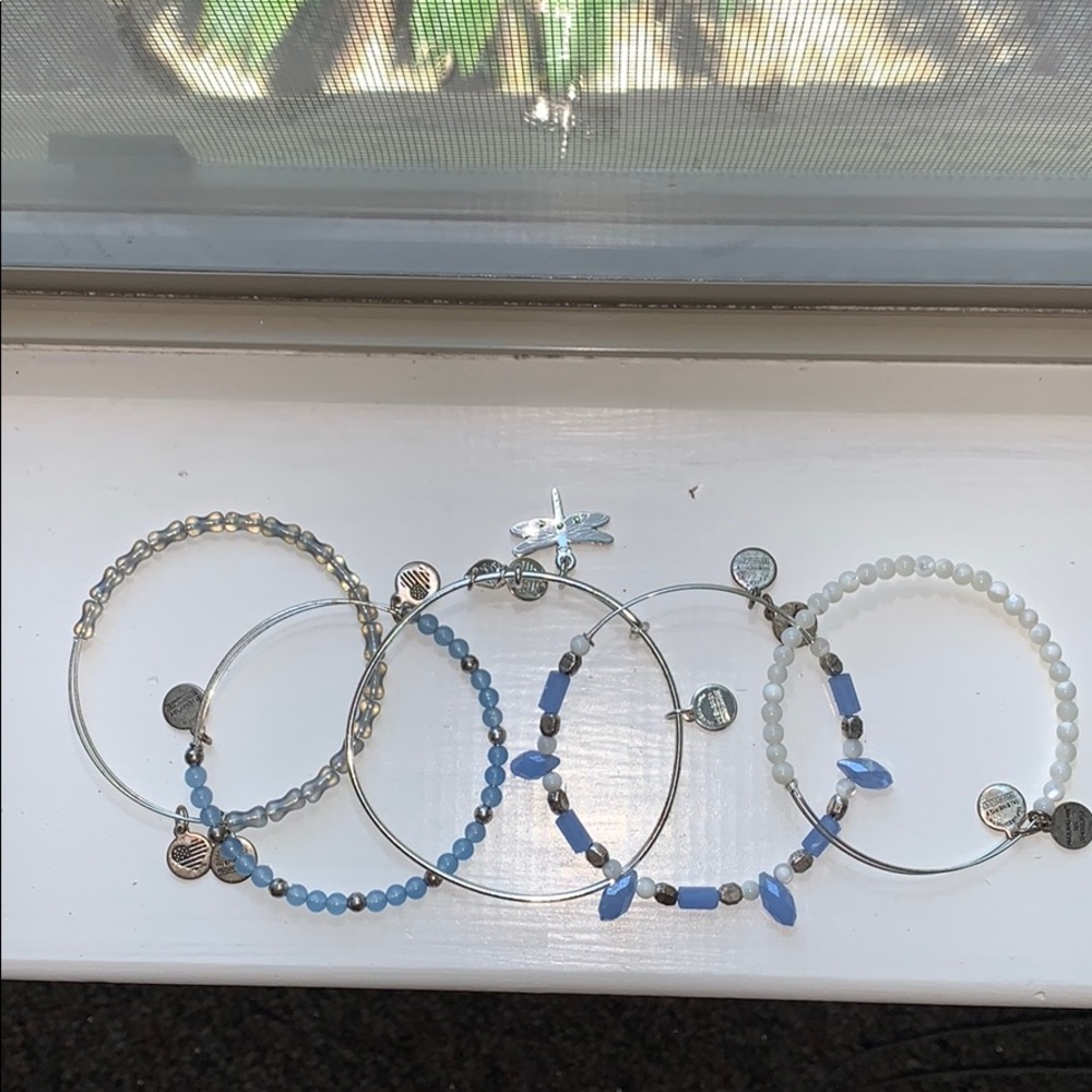 Alex & Ani Dragon Fly Set